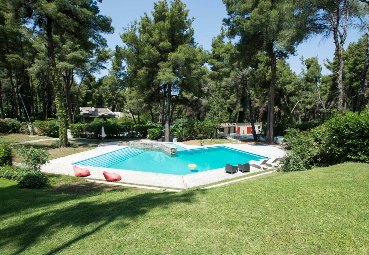Villa Aurora In Sani With Garden And Pool 외부 사진