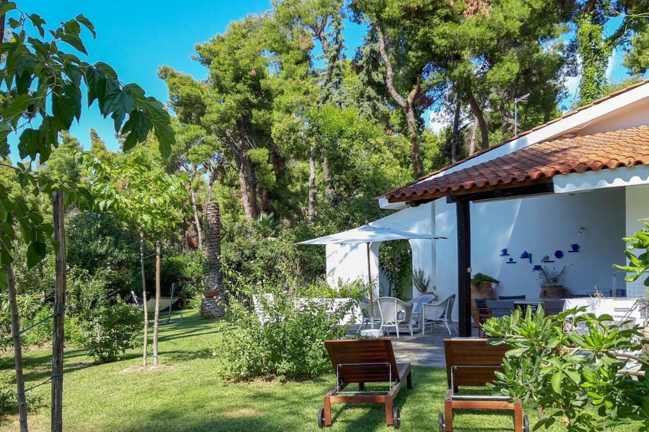 Villa Aurora In Sani With Garden And Pool 외부 사진
